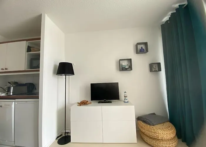 公寓 Tres Joli 2p Au Trouville- Piscine & Vue Port